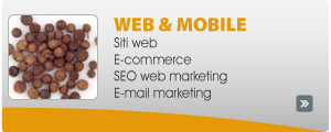 siti internet, siti web, web marketing